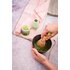 matcha_pulver.jpg
